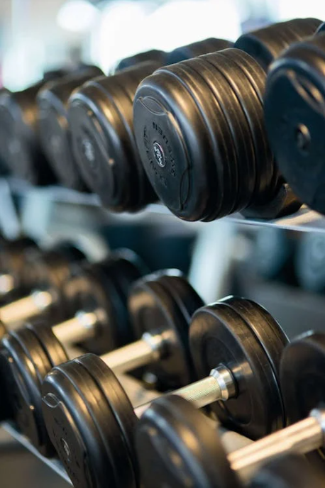 Lower Body Training